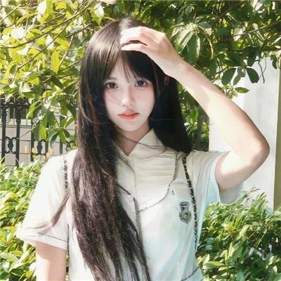 爱情动物
